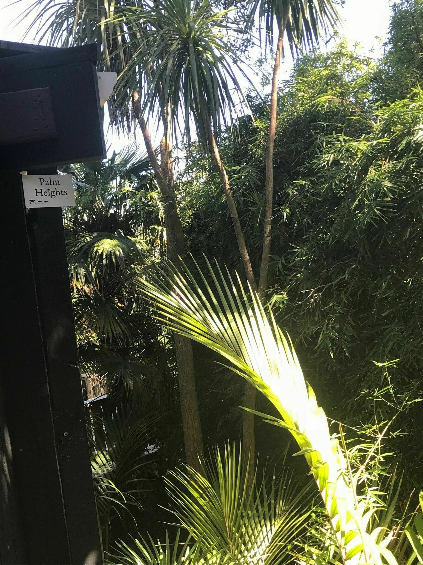 Ferienwohnung Palm Heights Palm Beach Exterior foto